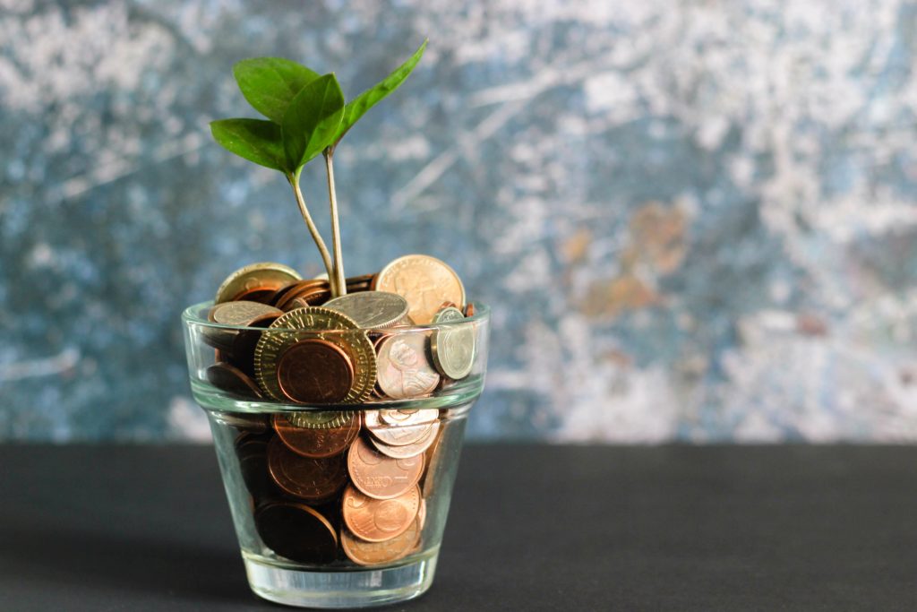 Image of a plant sprouting in a glass cup of metal coins.
